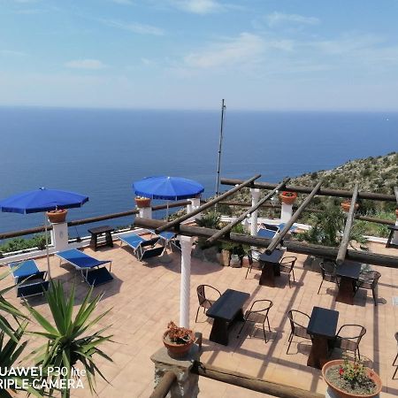 Hotel Punto Azzurro Forio  Ngoại thất bức ảnh