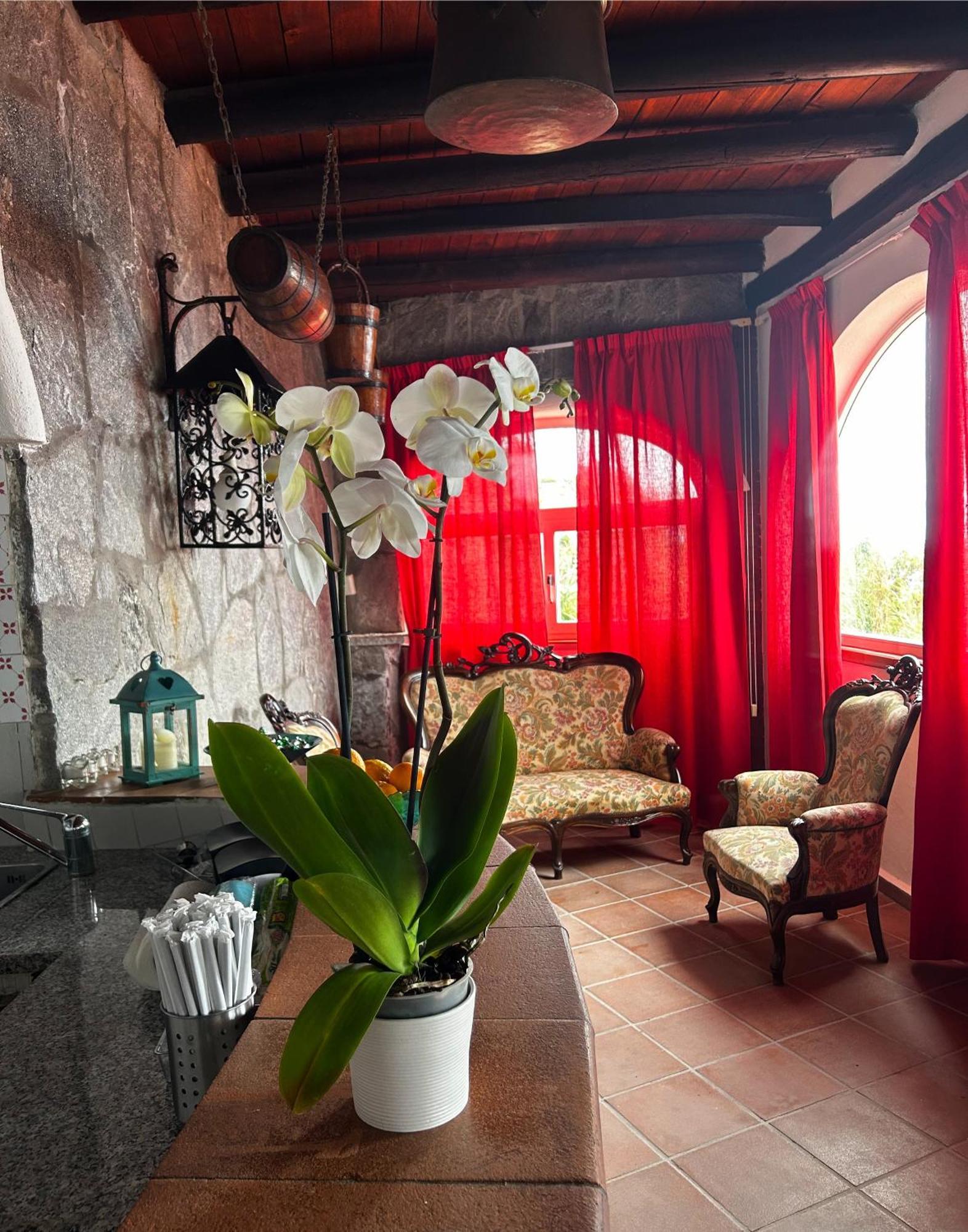 Hotel Punto Azzurro Forio  Ngoại thất bức ảnh